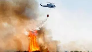 Desalojan cinco edificios tras declararse un incendio en el Saler