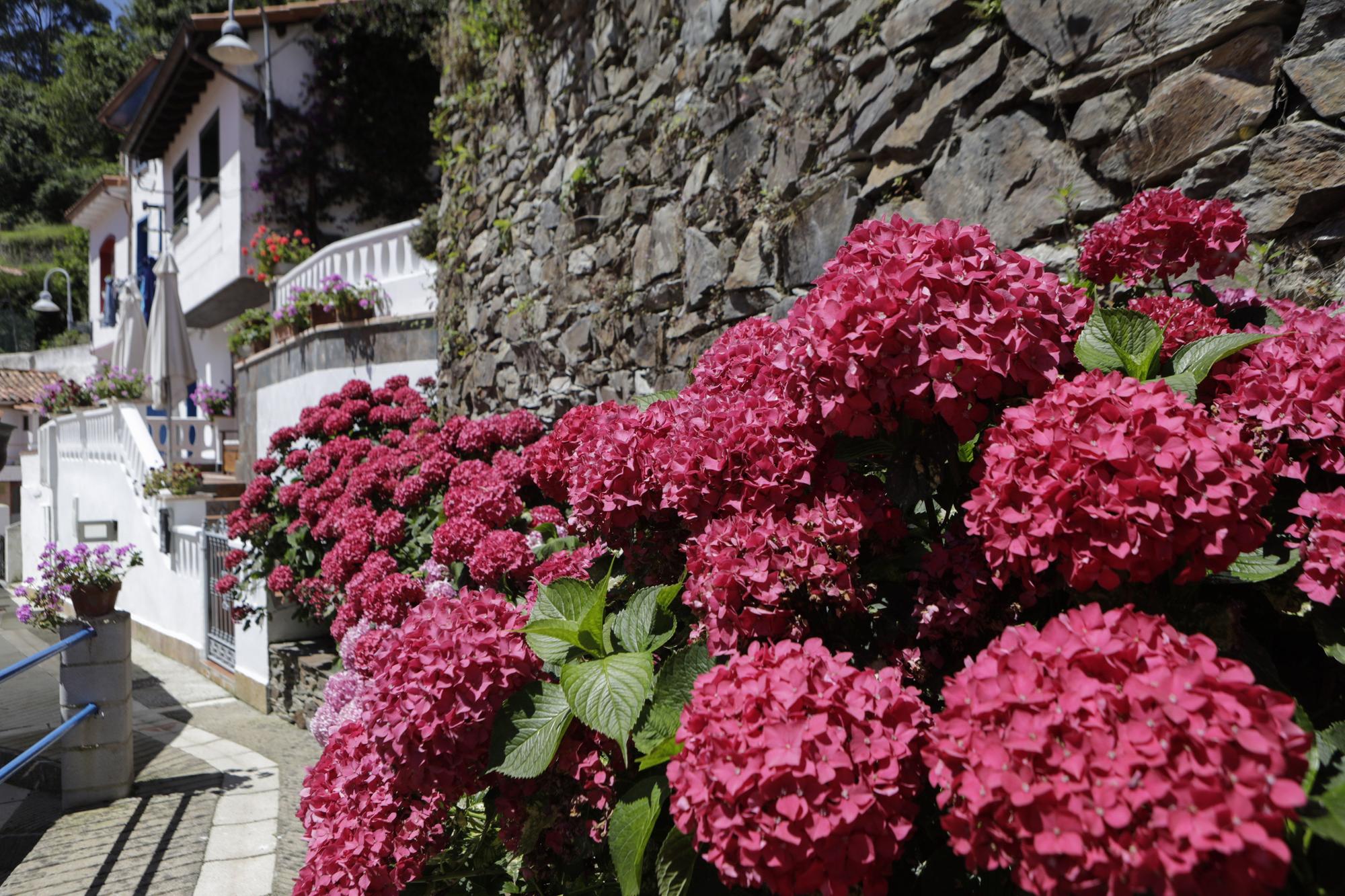 Los secretos de Cudillero, un pueblo "de guapo subido"