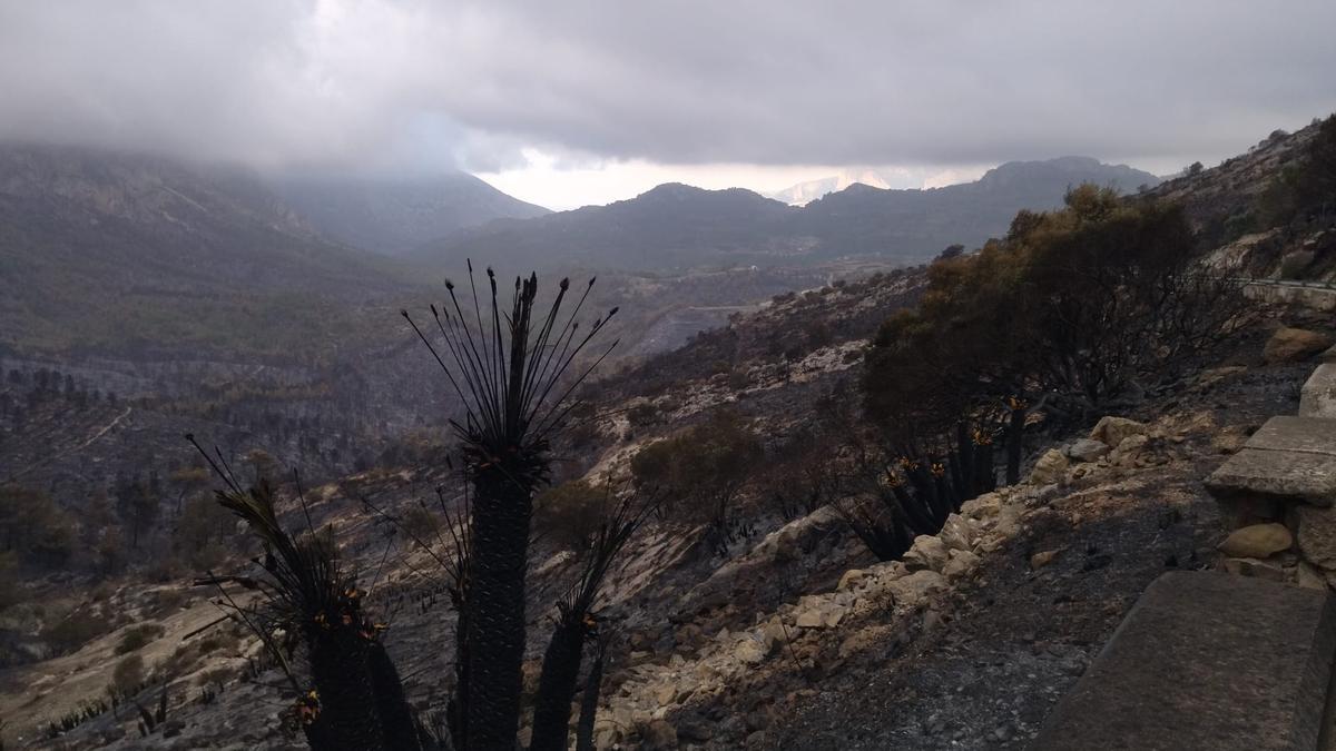 La destrucción del incendio de Tàrbena, en imágenes.