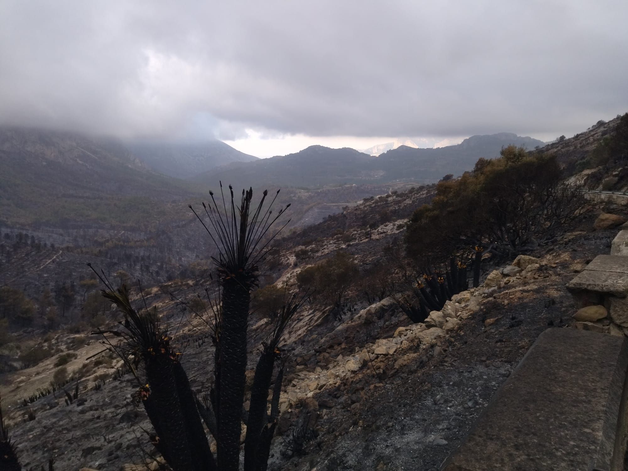 La destrucción del incendio de Tàrbena, en imágenes