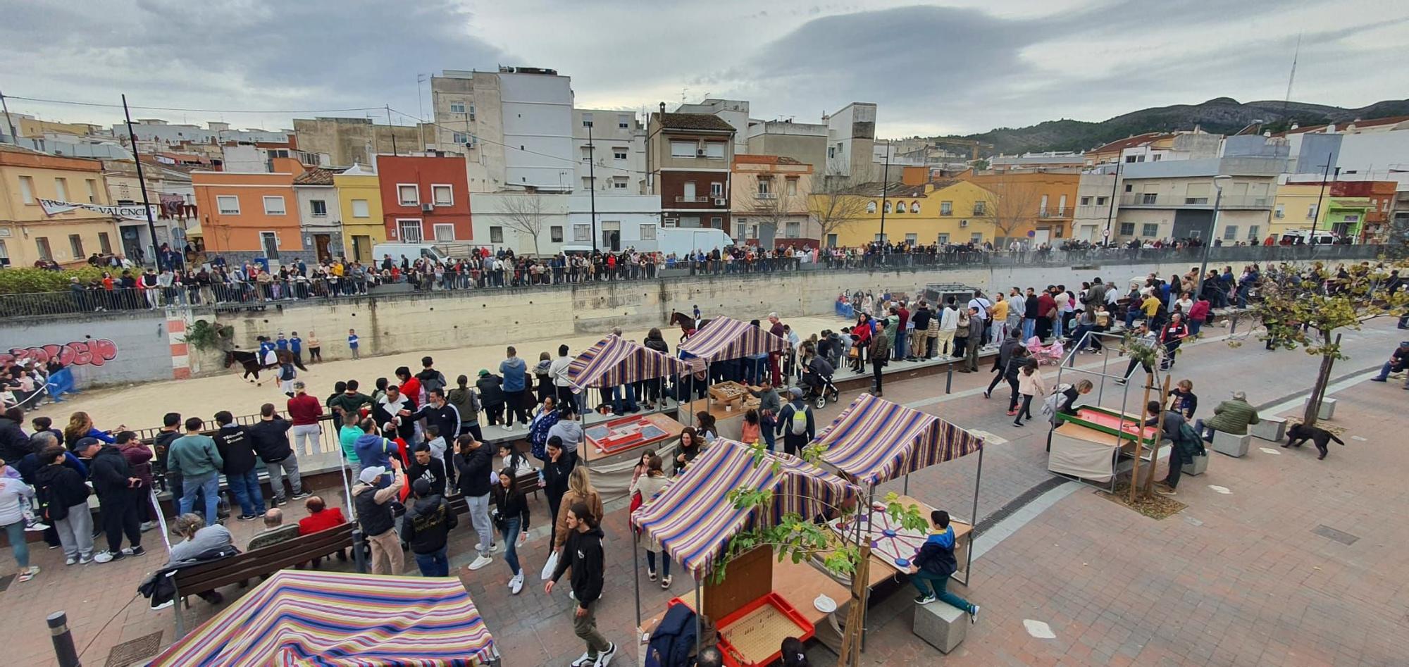 Así ha sido el 'porrat' de Sant Antoni en Beniopa