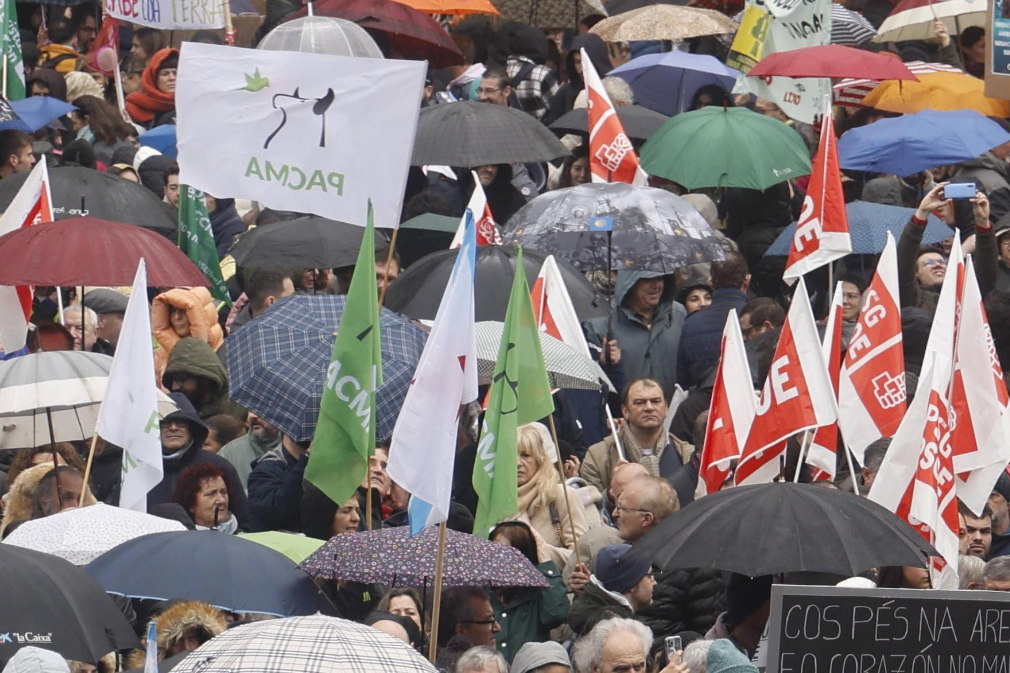 Multitudinaria manifestación en Santiago "en defensa do mar" y contra la gestión de la crisis de los pélets