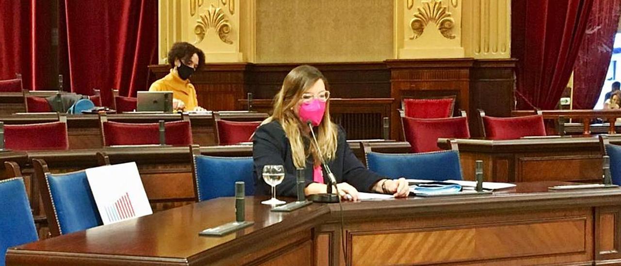 Un momento de la comparecencia de ayer de la consellera en el Parlament.