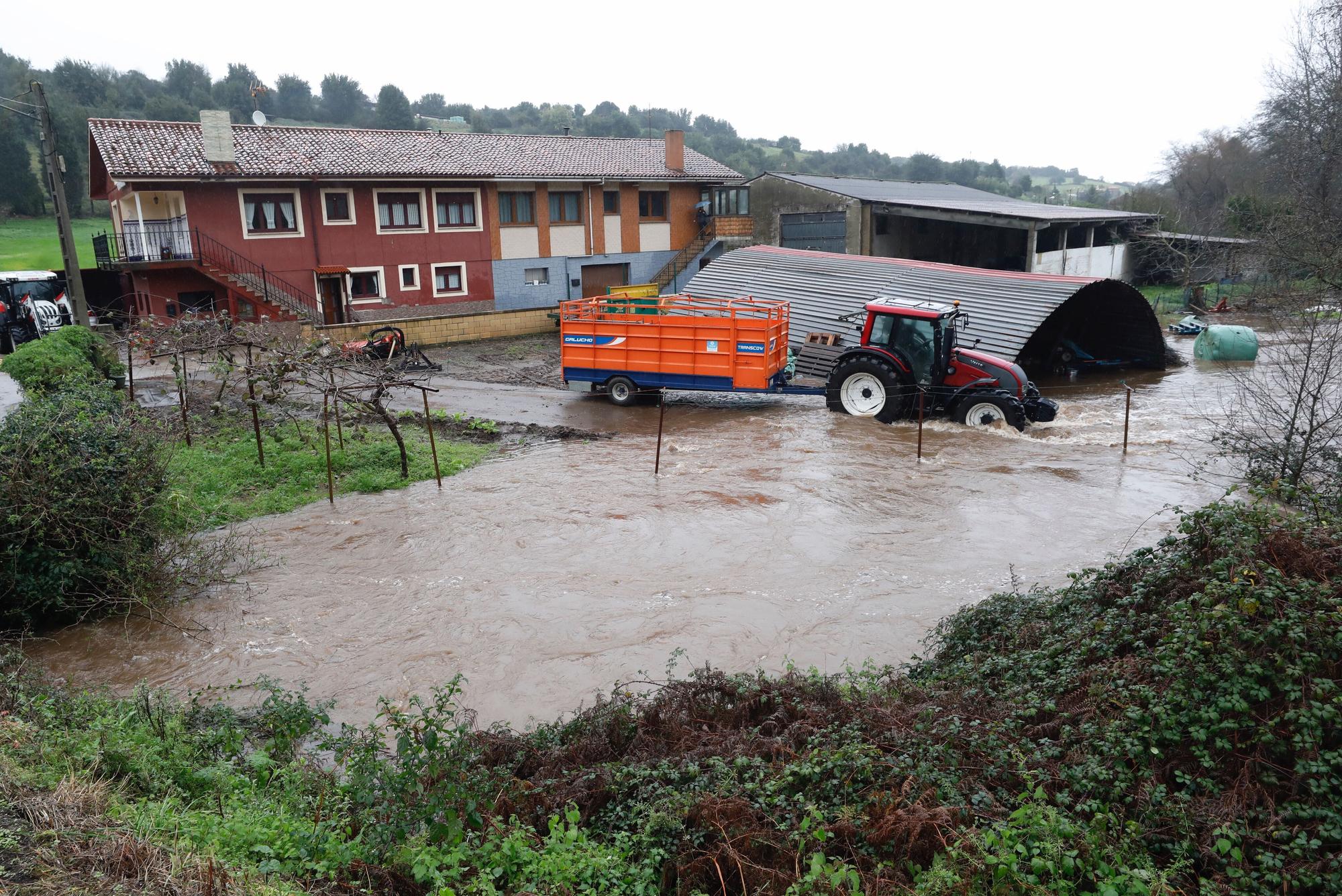 Temporal en Carreño