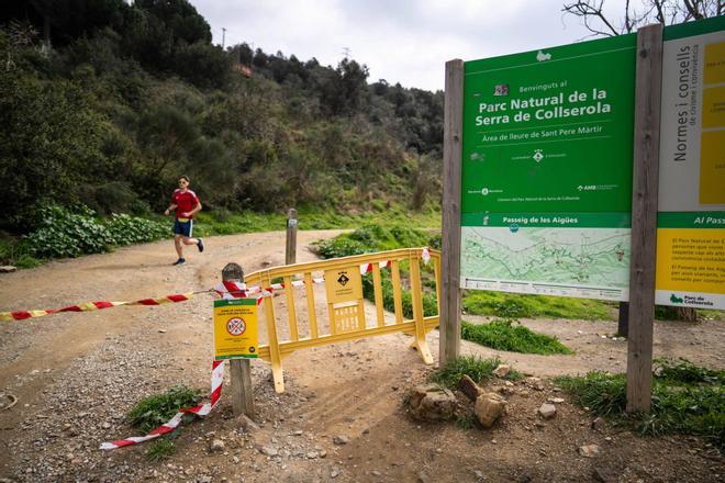 Restaurantes y alcaldes de Collserola critican la prolongación de restricciones por peste porcina: "Ha caído la facturación un 40%"
