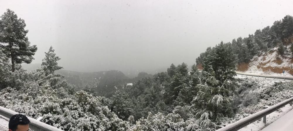 Nieve en el valle de Ayora y Cofrentes.