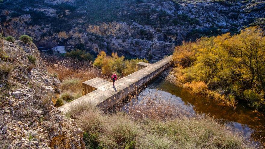 La Generalitat da el visto bueno ambiental a otra gran planta solar en Salinas