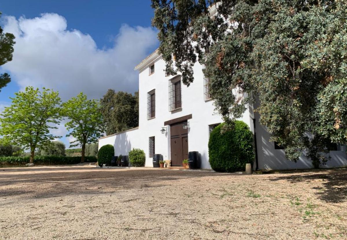 Finca Hoya de Cadenas: un paraíso enológico a 90 kilómetros de València.