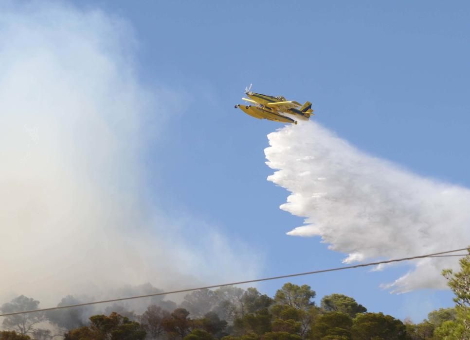 Efectivos y vecinos apagando el fuego