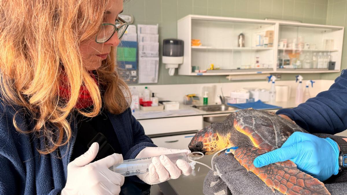 Imagen de la Fundació CRAM.