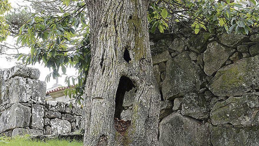 El grito de desesperación de la naturaleza