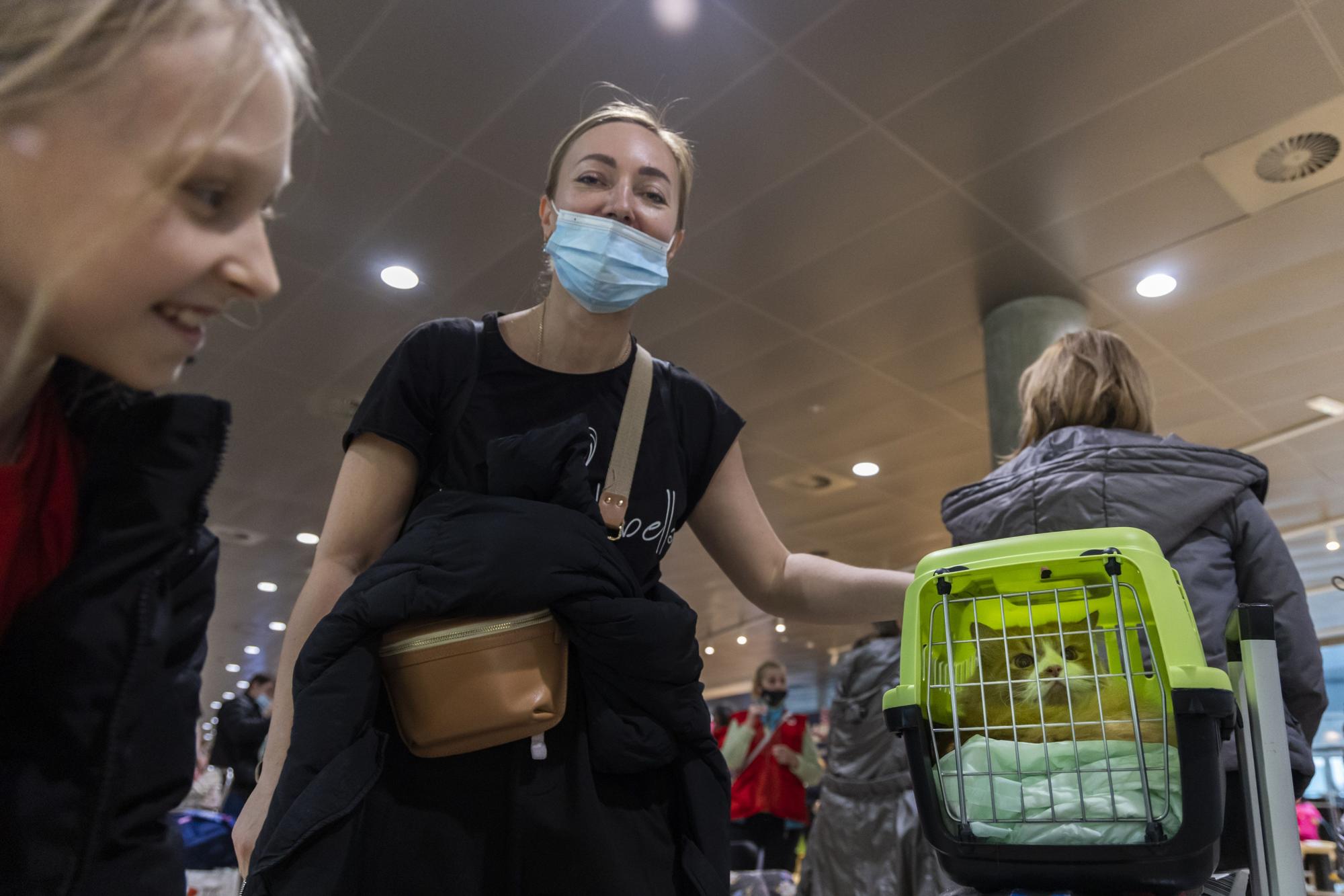 Llega a València un avión con 14 menores ucranianos con discapacidad