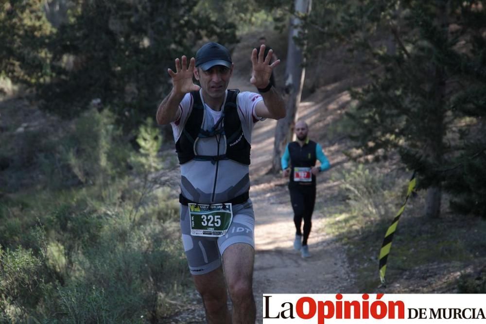 San Jorge Dragon en La Alcayna