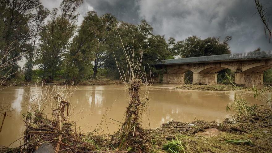 Fotografies amb consciència medi ambiental