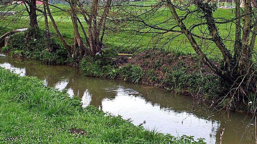 El río Gafo, a su paso por la localidad de Las Caldas.