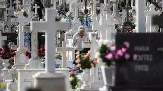 Detenido por destrozar más de 60 tumbas tras olvidarse el documento de identidad en el cementerio de Sevilla