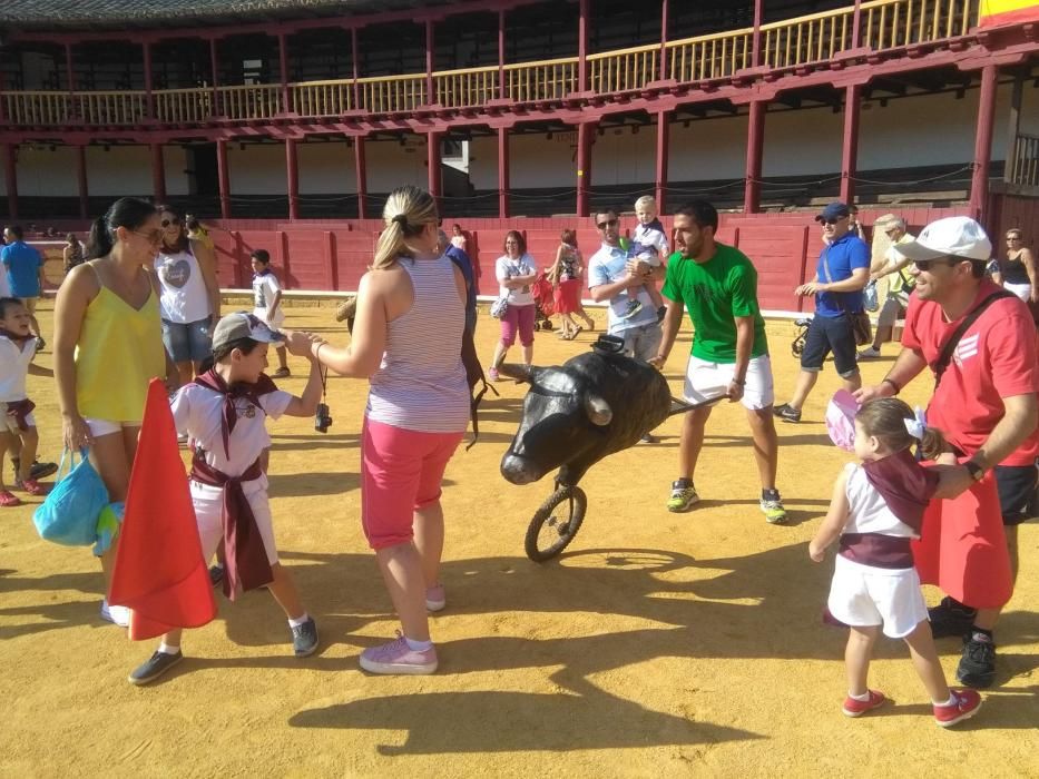 Fiestas Toro- Día de los niños