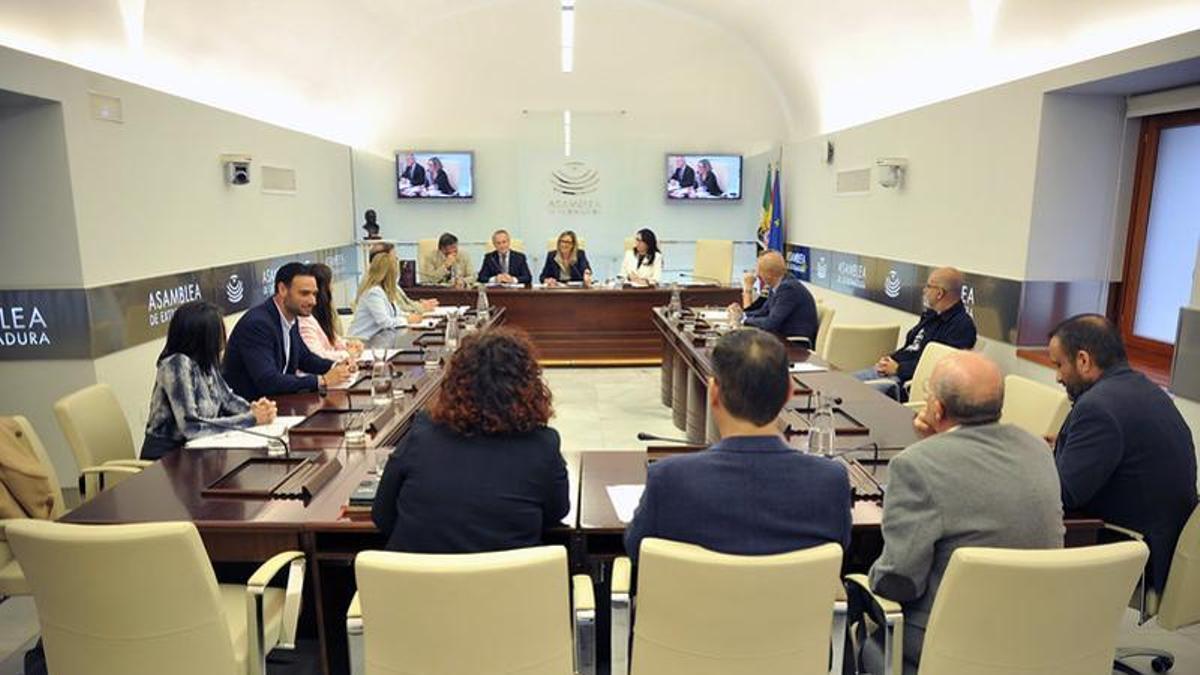 Reunión de la Comisión de Hacienda y Presupuestos de la Asamblea de Extremadura, en una imagen de archivo.