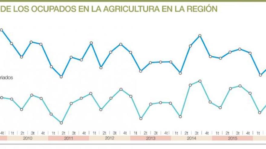 Los ocupados en agricultura se sitúan en 47.600, máximo en casi una década