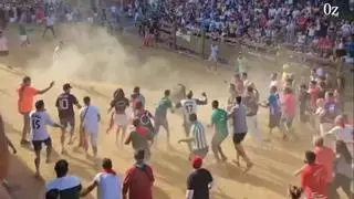 El torito enmaromado de Benavente protagoniza una carrera fulminante