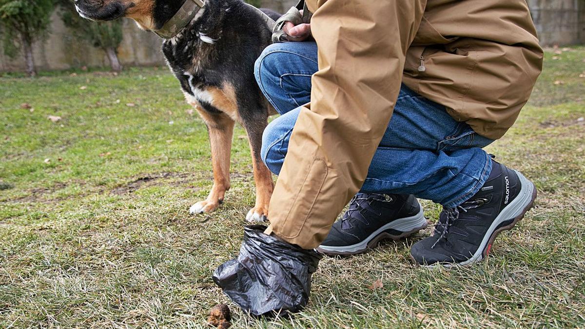 Un ciudadano recoge un excremento de su perro en la capital zamorana