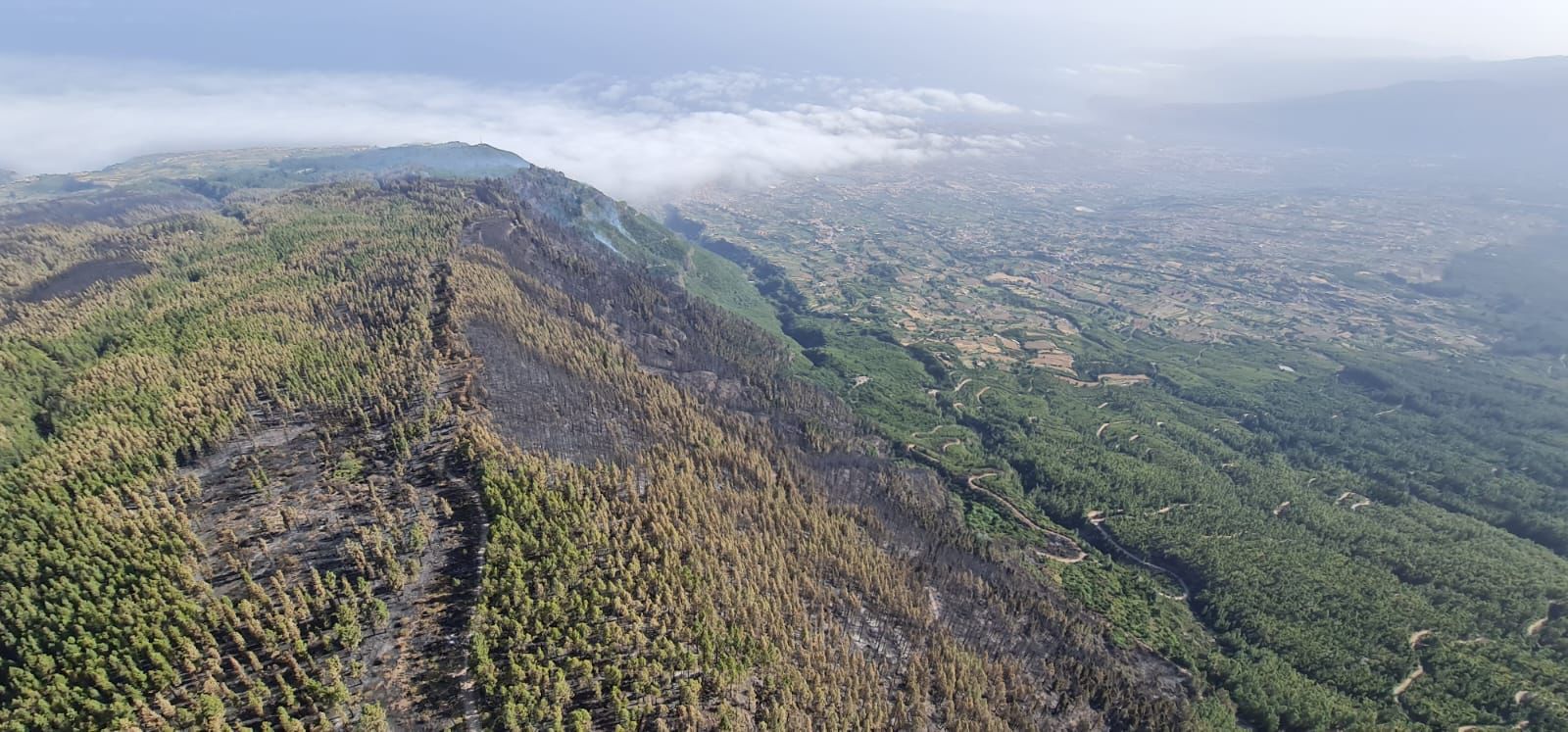 Aspecto de la zona de Tigaiga afectada por el incendio de Tenerife