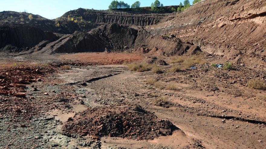 Una imatge del paratge de la Vinya del Tòt, al terme de Sant Mateu de Bages però a tocar de Callús