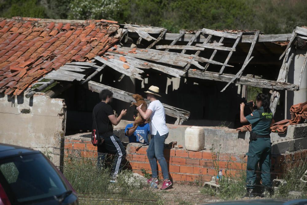 Rescatados perros Valdeperdices