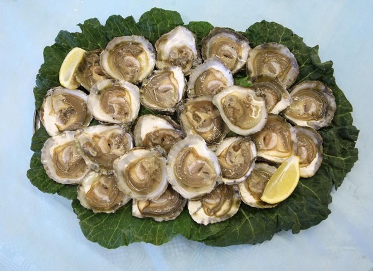 Un plat d’ostres. Un plat d’ostres.