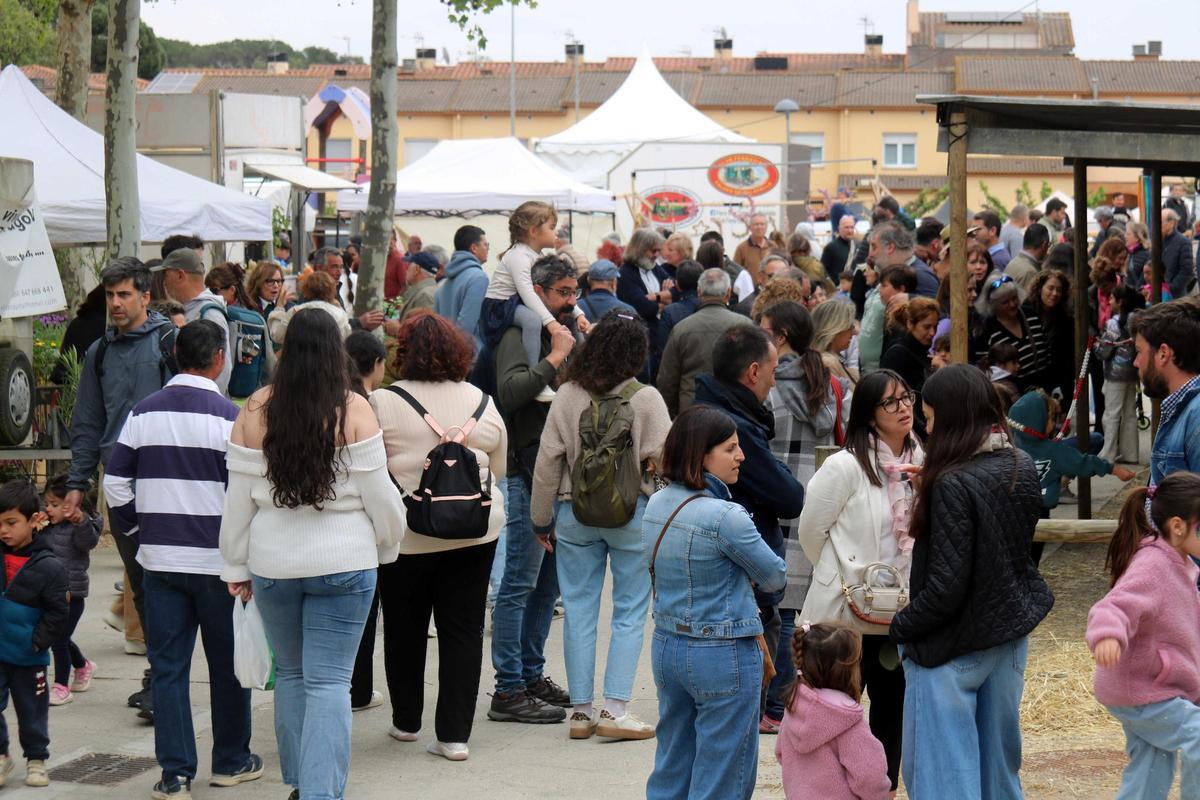 El diumenge a la 42a Fira Comarcal de Primavera de Campllong El diumenge a la 42a Fira Comarcal de Primavera de Campllong