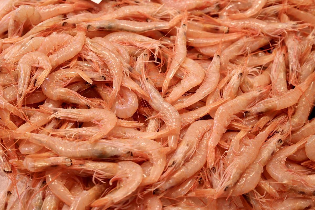 El precio del marisco murciano oscila entre los 2 y más de 120 euros el kilo, según la especie y la temporada