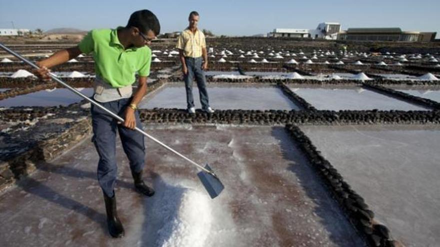 Bentejuí García amontonando la sal en los tajos de las salinas del Carmen. Al fondo, su padre, Juan, lo observa. | fuselli