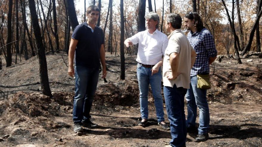 Dionís Guiteras, observa la zona cremada al foc d&#039;Avinyó.