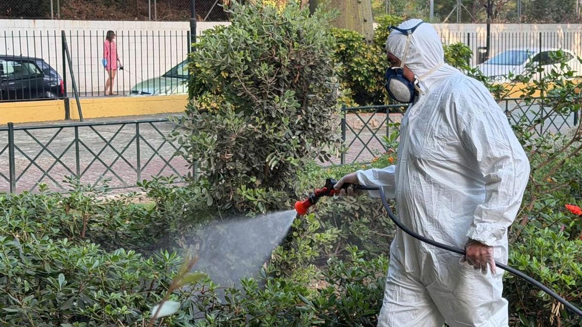 Labores de prevención y control del Virus del Nilo.