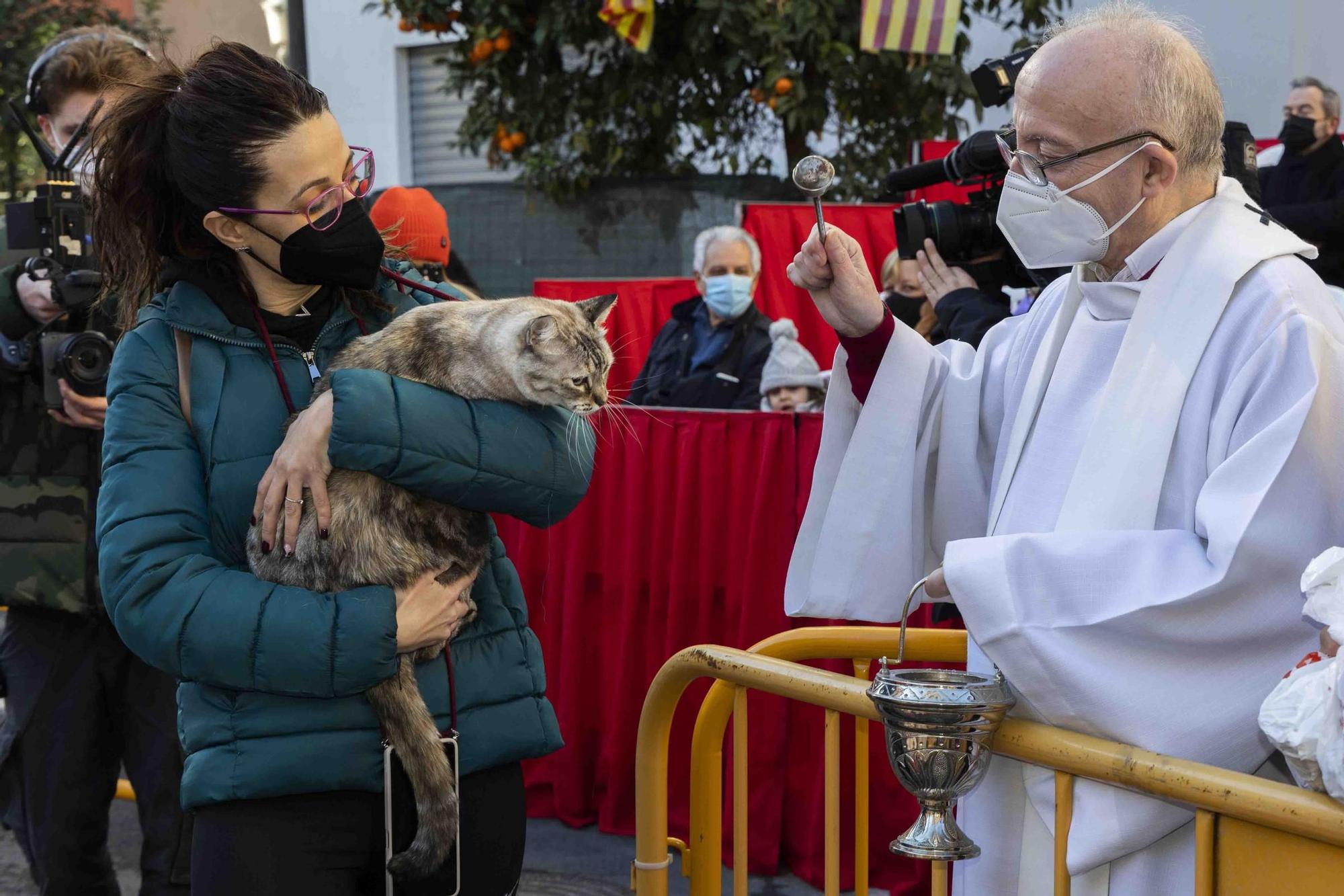 Búscate en la bendición de animales de Sant Antoni