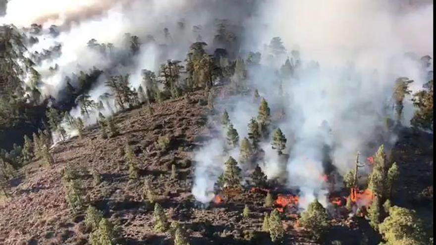 Continúan las labores de extinción del incendio de Tenerife