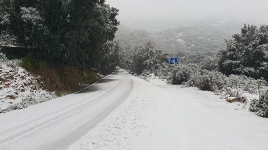 FOTOS | La nieve cubre la Serra de Tramuntana