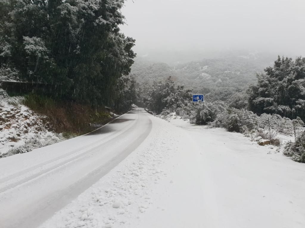 La nieve cubre la Serra de Tramuntana