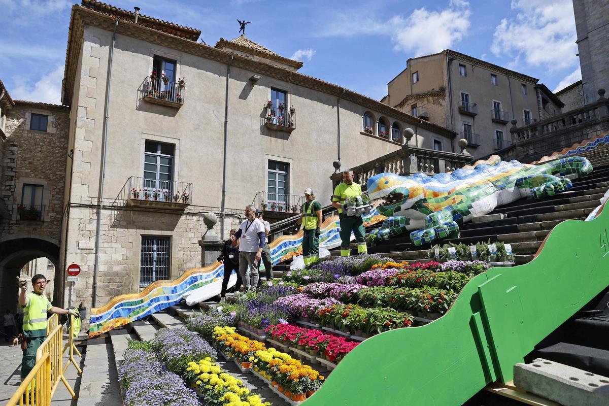 Les imatges dels preparatius de Temps de Flors Les imatges dels preparatius de Temps de Flors