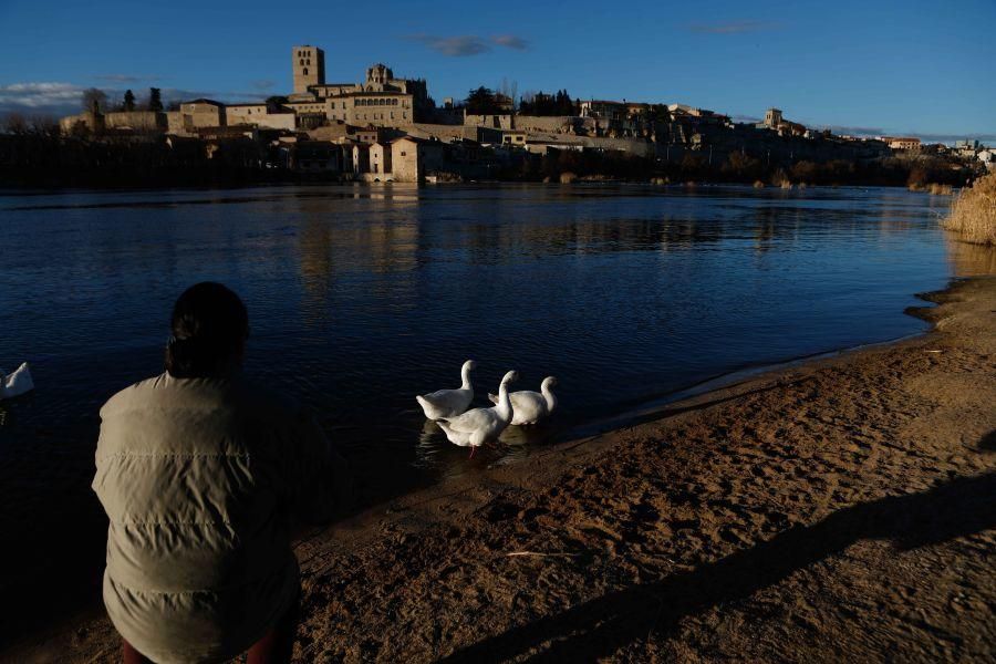 El Duero tras el deshielo