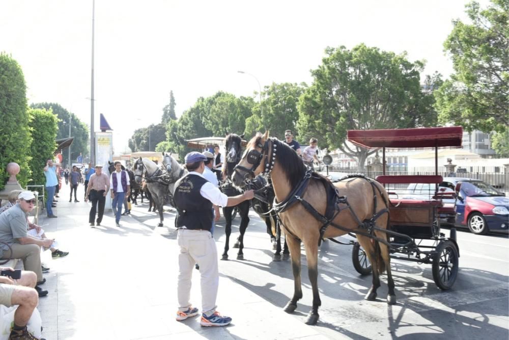 Ruta en carro al corazón de la Huerta