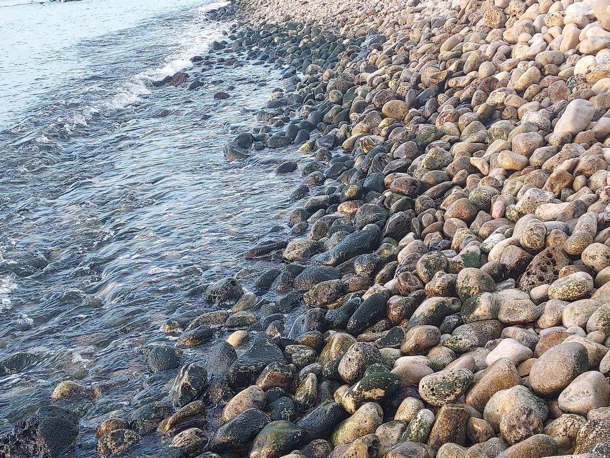 Las rocas se han ennegrecido en la desembocadura del río