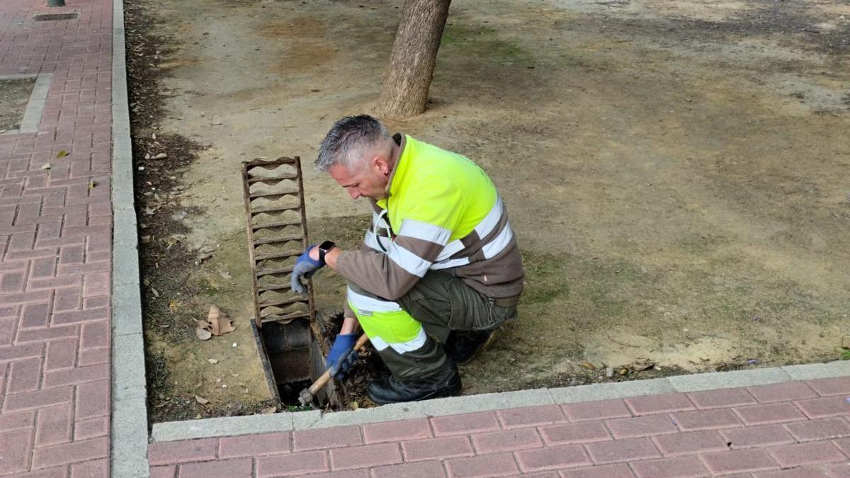 Un operario de Parques y Jardines revisa imbornales en un jardín.