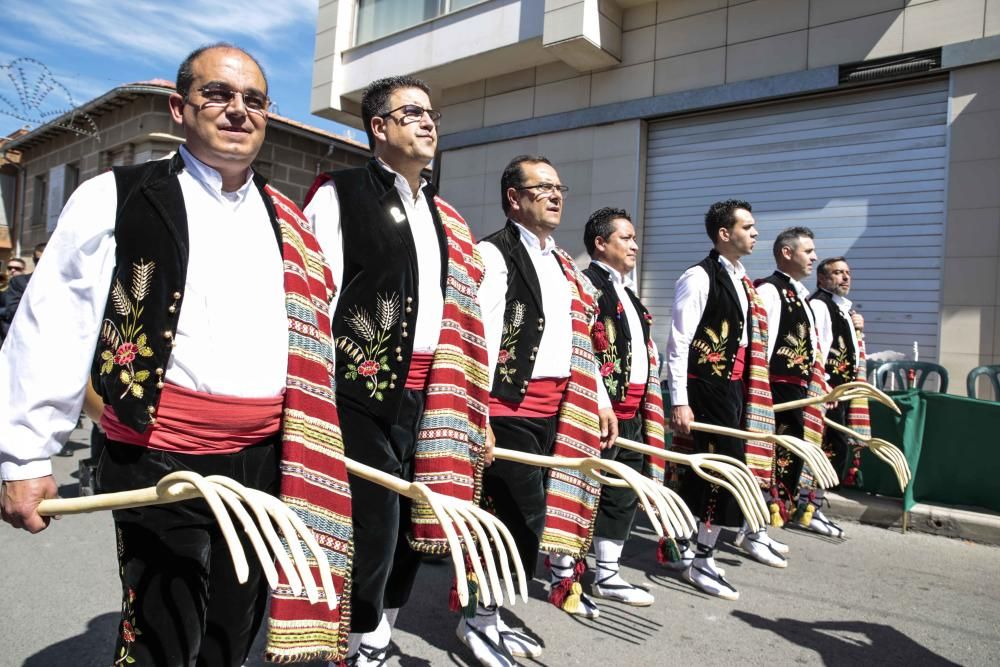 La comparsa Labradores presenta un boato muy participativo y primaveral, y con la interpretación del pasodoble Sueños Festeros logró emocionar al numeroso público