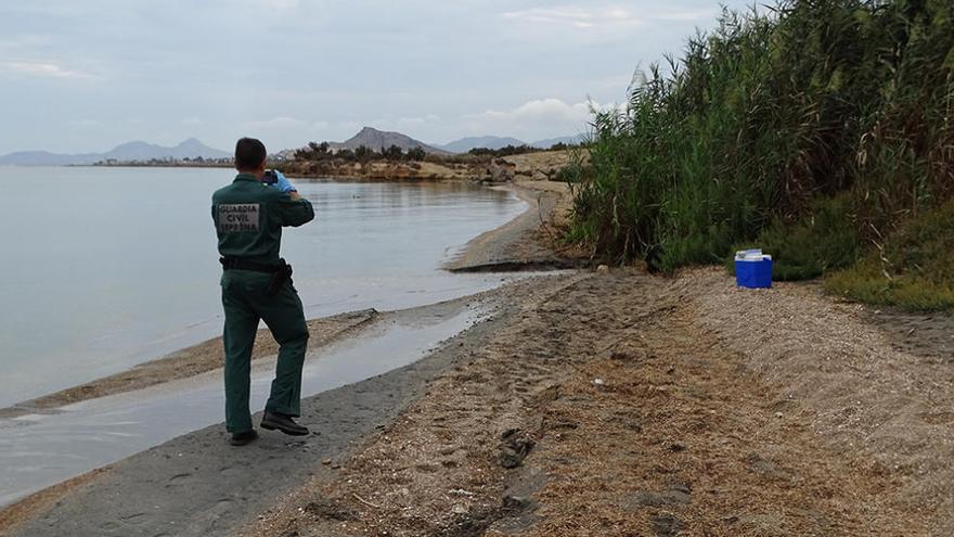 Un agente del Seprona  durante la inspección la mañana de este martes en el punto de vertido.