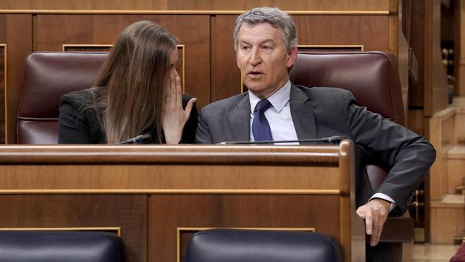 El PP recicla sus propias leyes: 8 de las últimas 14 normas defendidas en el Congreso las impulsó antes en el Senado
