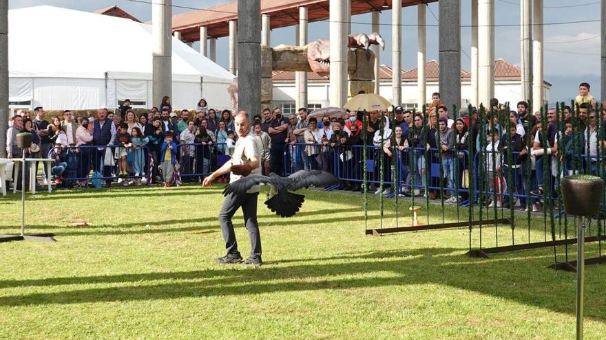 Demostración de cetrería en la anterior edición de la Feria de Caza, Pesca y Naturaleza.