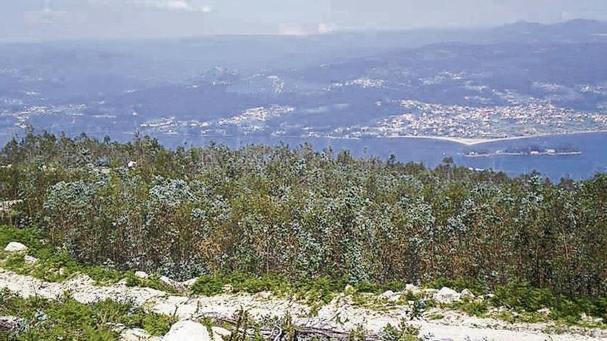 Parte alta de los montes de Domaio y Vilaboa en donde se proyecta el parque eólico Pedras Negras. // FdV