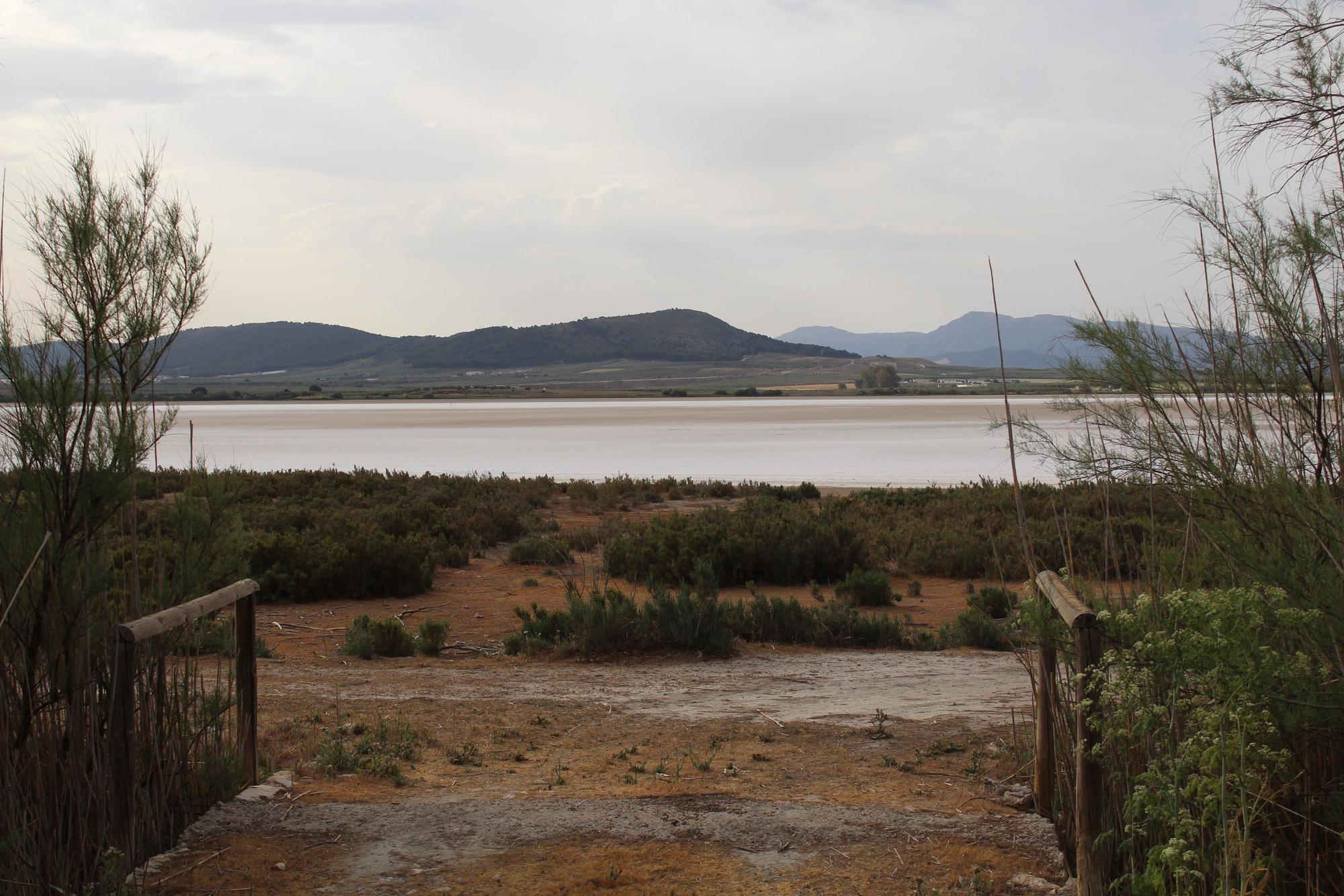 La laguna de Fuente de Piedra