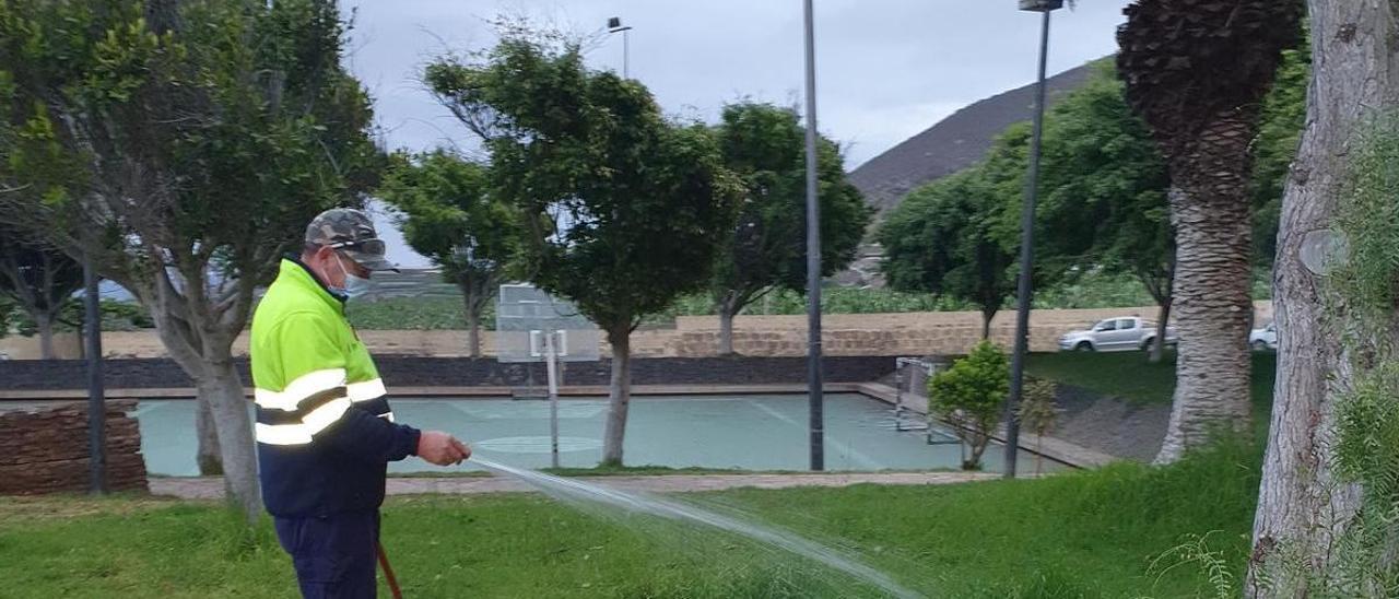 Un peón en un jardín de Buenavista del Norte